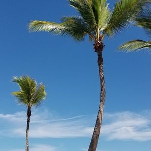 Meet your Posher, Frank